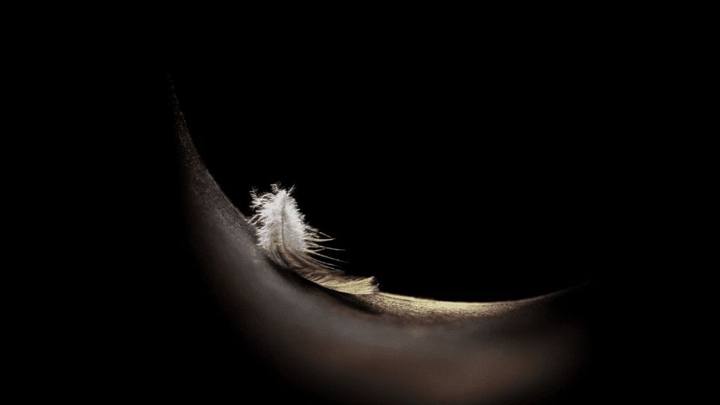 小豆包API中转平台 - 灵豆AGI